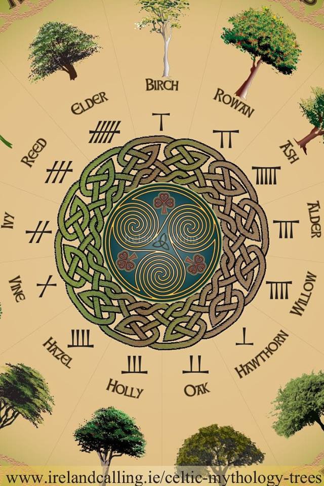 The Myth of the 28 day 13 month year The Celtic Tree Calendar and